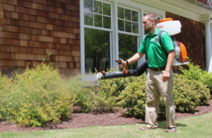 Mosquito Joe of Southern New Hampshire technician spraying bushes out of a home. 